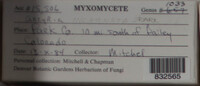 Image Associated With the Occurence